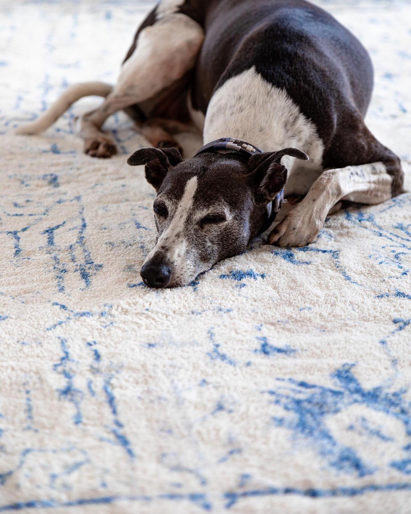 sarafina blue and grey distressed washable rug sarafina blue and grey distressed washable rug