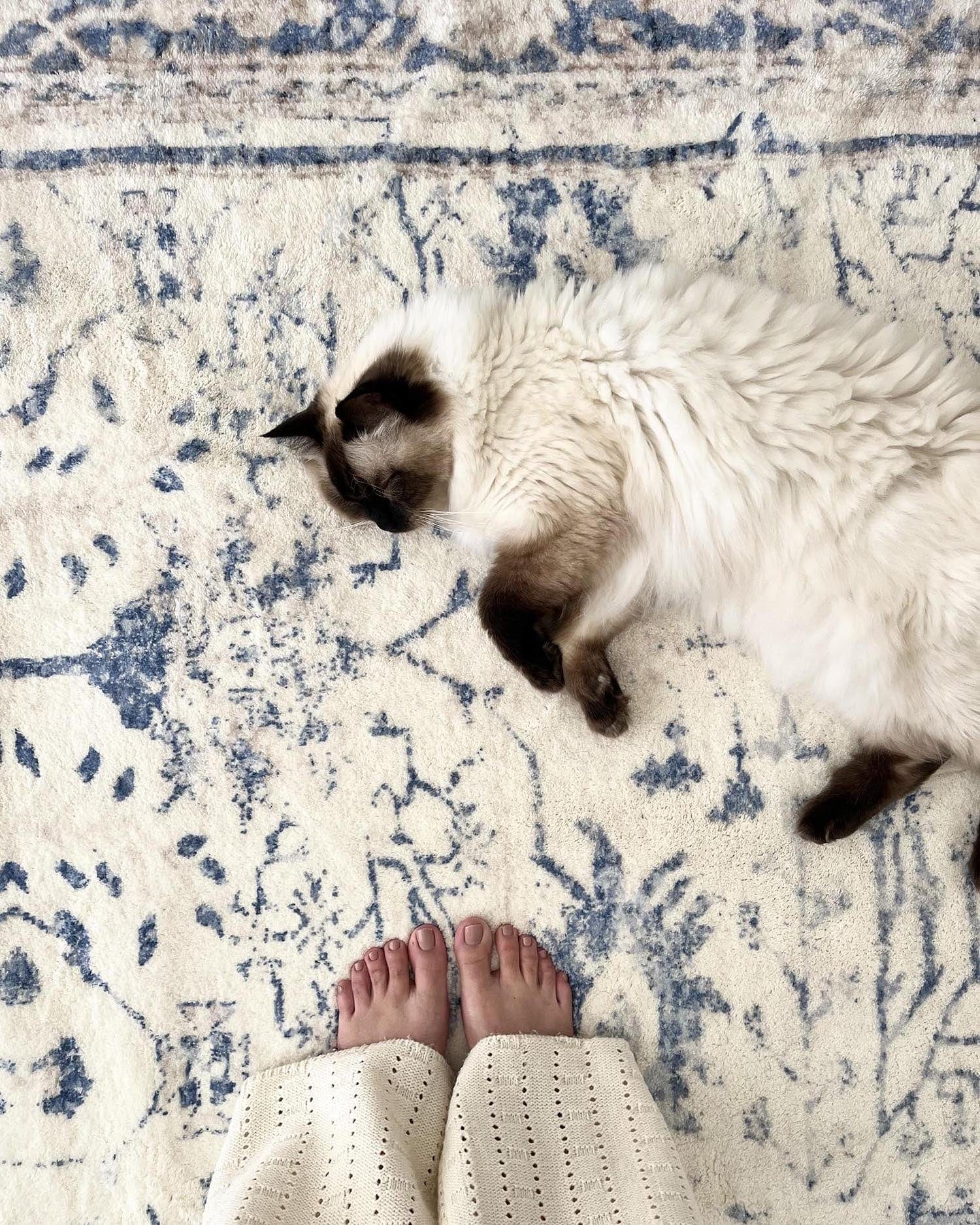sarafina blue and grey distressed washable rug sarafina blue and grey distressed washable rug