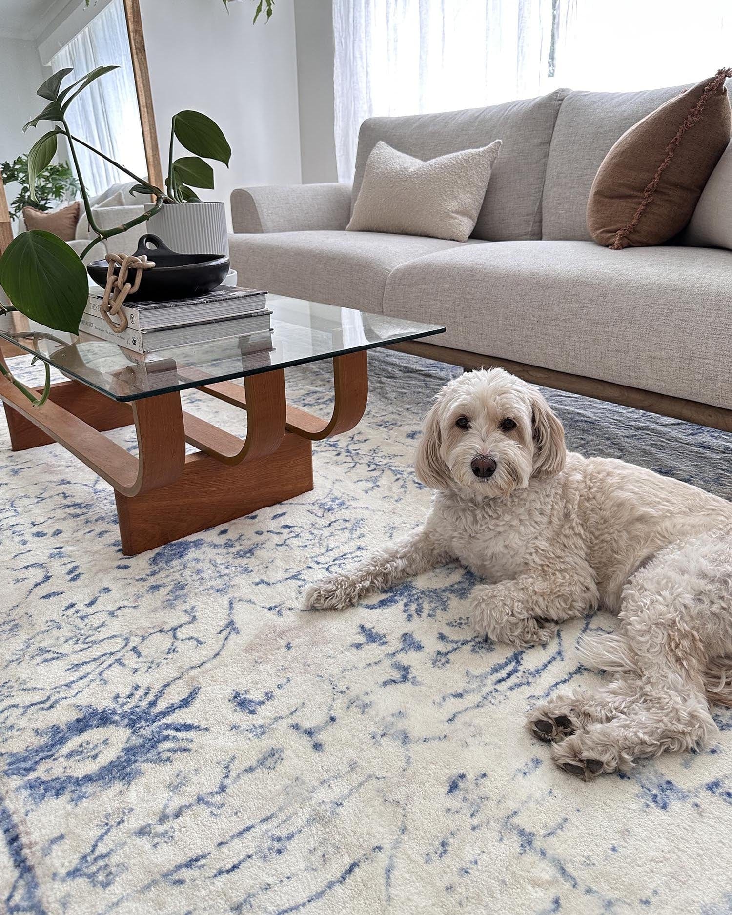 sarafina blue and grey distressed washable rug sarafina blue and grey distressed washable rug